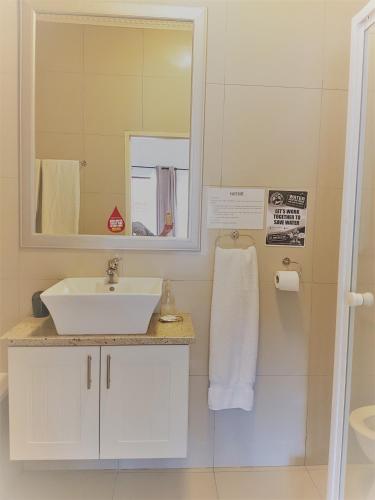 a bathroom with a sink and a mirror at Sir Roys Guest House in Port Elizabeth