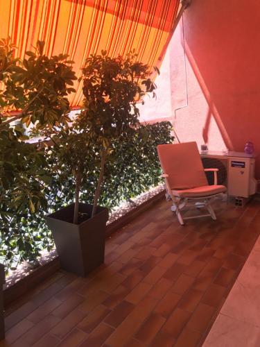 a room with two potted plants and a chair at Monaco Studio "907" in Monte Carlo