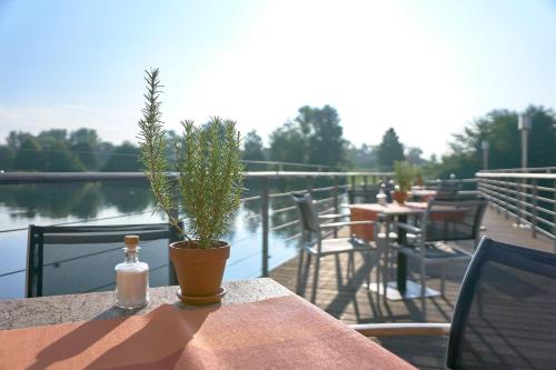 a table with a plant and a glass bottle on it at LAGO hotel & restaurant am see in Ulm