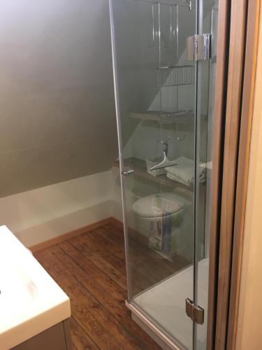 La salle de bains est pourvue d'une douche en verre et de parquet. dans l'établissement studio TIMGIO, à Wimereux