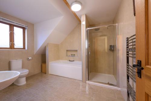 Ванна кімната в Bwthyn y Bannau