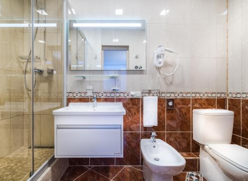 een badkamer met een wastafel, een toilet en een spiegel bij Hotel Zemaites in Vilnius