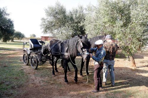 two men standing next to a horse pulling a carriage at Casale del Forno in Andrano