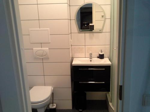 ein Badezimmer mit einem WC, einem Waschbecken und einem Spiegel in der Unterkunft Lima Studio in Druskininkai