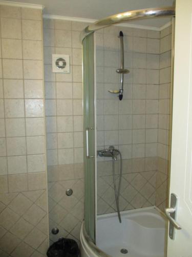 a shower with a glass door in a bathroom at Apartment Sonja in Belgrade