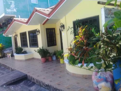 a building with potted plants in front of it at Hostal Bocas Tropical Paradise in Bocas del Toro
