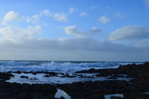 a view of the ocean with waves and trees at Les appartements de la Villa Beida in Oualidia