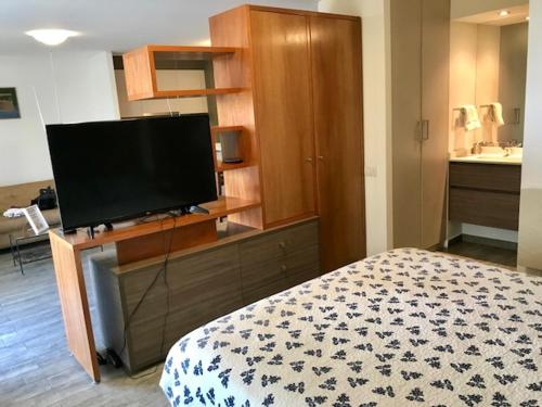 1 dormitorio con 1 cama y TV de pantalla plana en Agradable Braganza, en Santiago