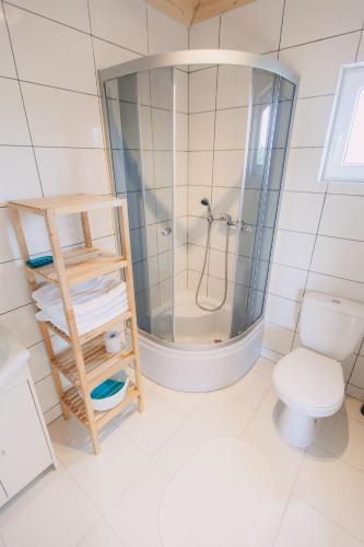 a bathroom with a shower and a toilet at Domki Letniskowe Skandynawia in Ustka