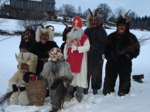 a group of people dressed in costumes in the snow at Ferienhof Gindl und Gästehaus Gindl in Tauplitz