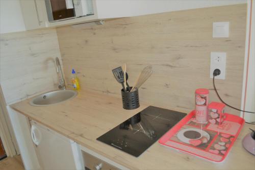 una pequeña cocina con encimera con fregadero y encimera en Studio Lovely Sea, en Le Barcarès