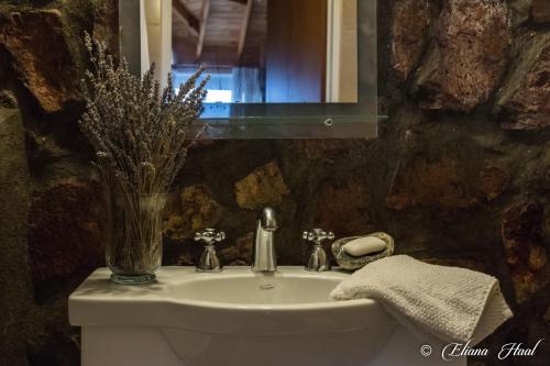 La salle de bains est pourvue d'un lavabo et d'un vase de fleurs. dans l'établissement La Calandria Casa de Campo, à Puerto Madryn