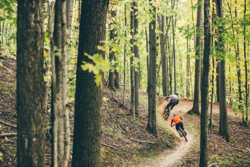 two people riding bikes down a trail in the woods at Le Coffee Ride Cycling Cafe in Stavelot