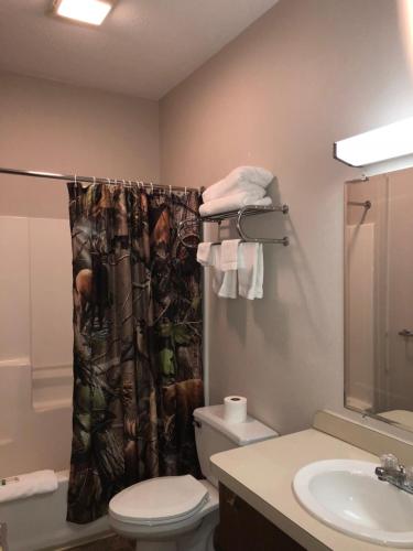 a bathroom with a toilet and a shower curtain at Tug Hill Resort in Redfield