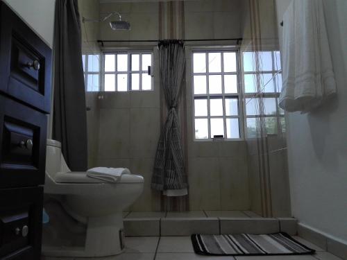 a bathroom with a shower and a toilet and a window at MV Suites Suc. Capilla in Monterrey