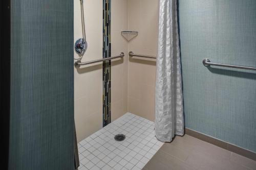 a bathroom with a shower with a glass door at Hyatt Place Chicago/Itasca in Itasca