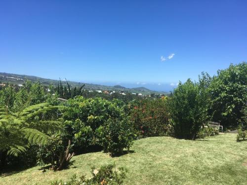 a view of a garden with trees and grass at Caloupilé in Le Tampon