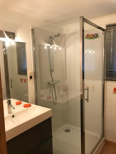 a bathroom with a glass shower and a sink at La Brindille in Durbuy