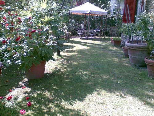 a yard with potted plants and an umbrella at Villa Feltran in Forte dei Marmi