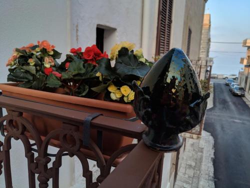 a planter of flowers on a balcony with a window at Torres Suite in Polignano a Mare