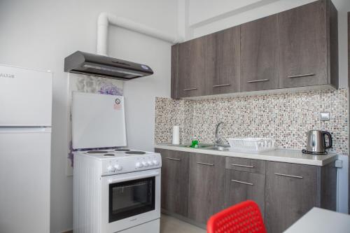a kitchen with a white stove top oven next to a sink at Lak Peristeri Homes 50m from metro station in Athens