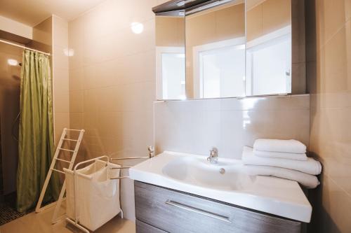 La salle de bains est pourvue d'un lavabo et d'un miroir. dans l'établissement Apartment Vienna B, à Vienne