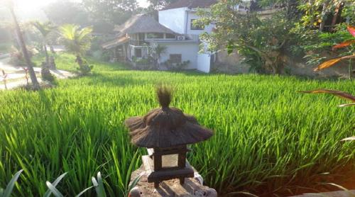 a mushroom house in front of a field of grass at KTS Balinese Villas in Canggu