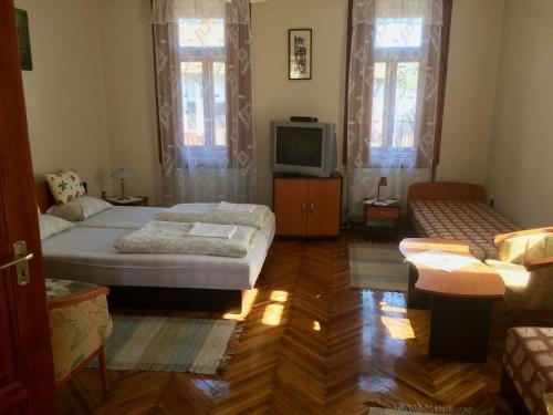 een woonkamer met 2 bedden en een televisie bij Homoky Pincészet és Vendégház in Tállya