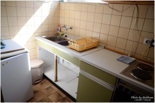 a small kitchen with a sink and a toilet at Apartments Roza in Herceg-Novi
