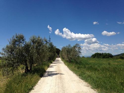 a dirt road in the middle of a field at San Casciano - Appartamenti Podere Ianni in San Casciano in Val di Pesa