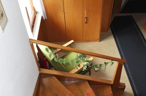 a staircase with a green chair with a plant at Green Corner Nürburg in Nürburg