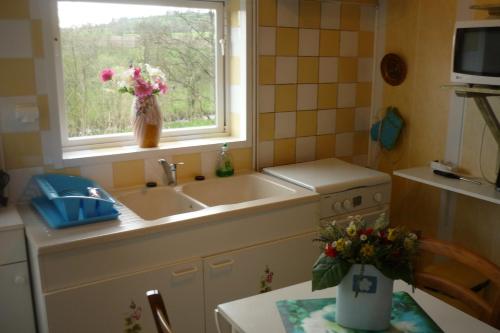 a kitchen with a sink and a window with flowers at Gite Le Clos de Sée in Chérencé-le-Roussel