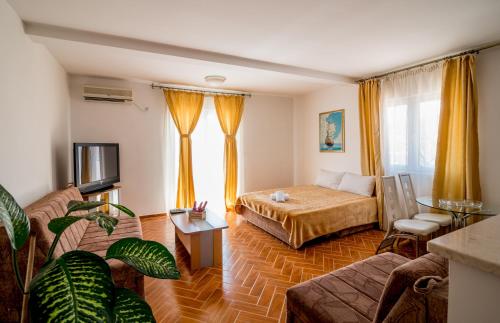 a room with a bed and a couch and a tv at Bianca Apartments in Herceg-Novi