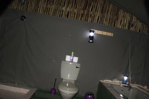 a bathroom with a toilet and a tub and a sink at Masingitana Tented Camp in Hoedspruit