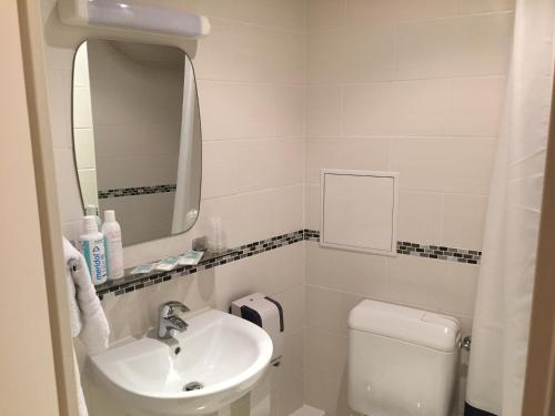 a bathroom with a sink and a toilet and a mirror at Hôtel De La Perdrix Rouge in Paris
