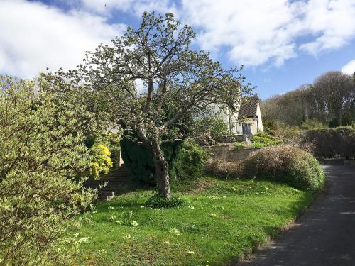 A garden outside Sundorne 