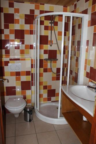 a bathroom with a shower and a toilet and a sink at Chalet Fleur des Alpes 1 in Les Gets