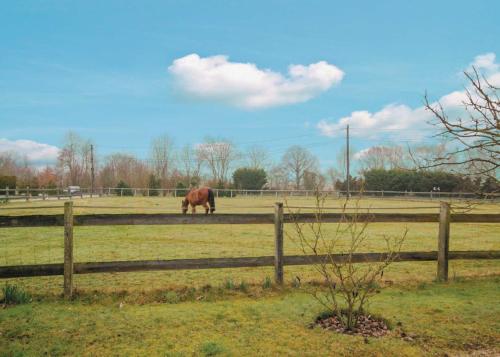 Animals at the vacation home or nearby 