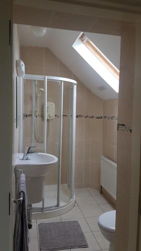 a bathroom with a shower and a sink and a toilet at 7 Doolin Court in Doolin