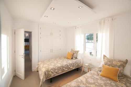 プエルト・デル・カルメンにあるRooms & Suites Princesa Soniaのベッド1台、ソファ、窓が備わる客室です。