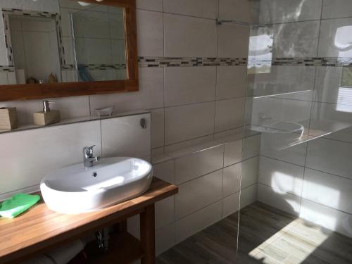 a bathroom with a sink and a glass shower at Gästehaus Schmidt in Boltenhagen