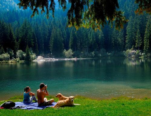 a couple sitting on a blanket next to a lake with a dog at Appartamento Artuik in Marilleva