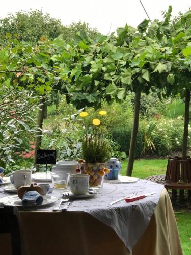 Vườn quanh Pension Hauschildt