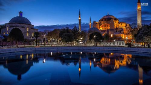 イスタンブールにあるIstanbul Hotel&Guesthouseの夜間の水のプールがあるモスク
