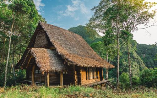 Gallery image of Atarisi Lodge in Rurrenabaque