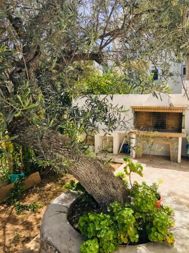 Gambar di galeri bagi Dapia Holiday Home di Spetses