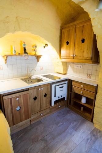 a kitchen with wooden cabinets and a sink at Forrás in Egerszólát