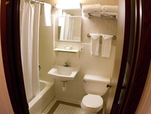 a bathroom with a toilet, sink, and mirror at Chestnut Mountain Resort in Galena