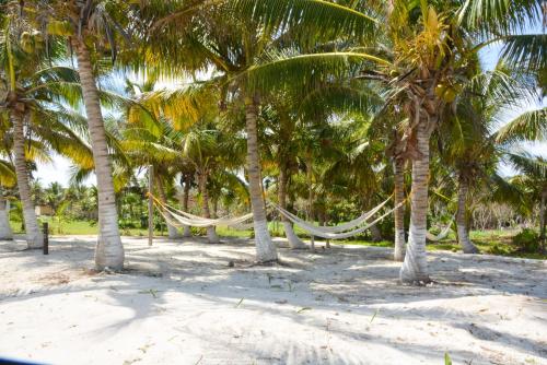 a hammock between palm trees on the beach at Caleta Tankah in Tulum