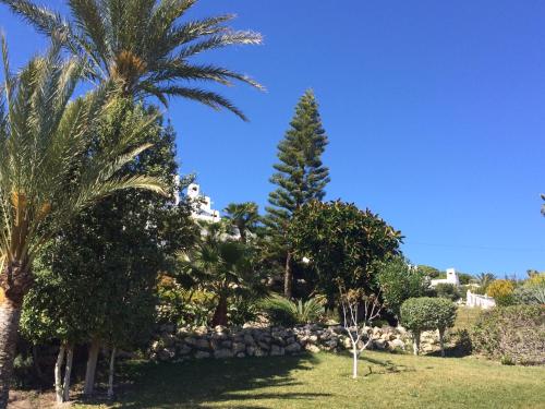 Κήπος έξω από το Casa Olina